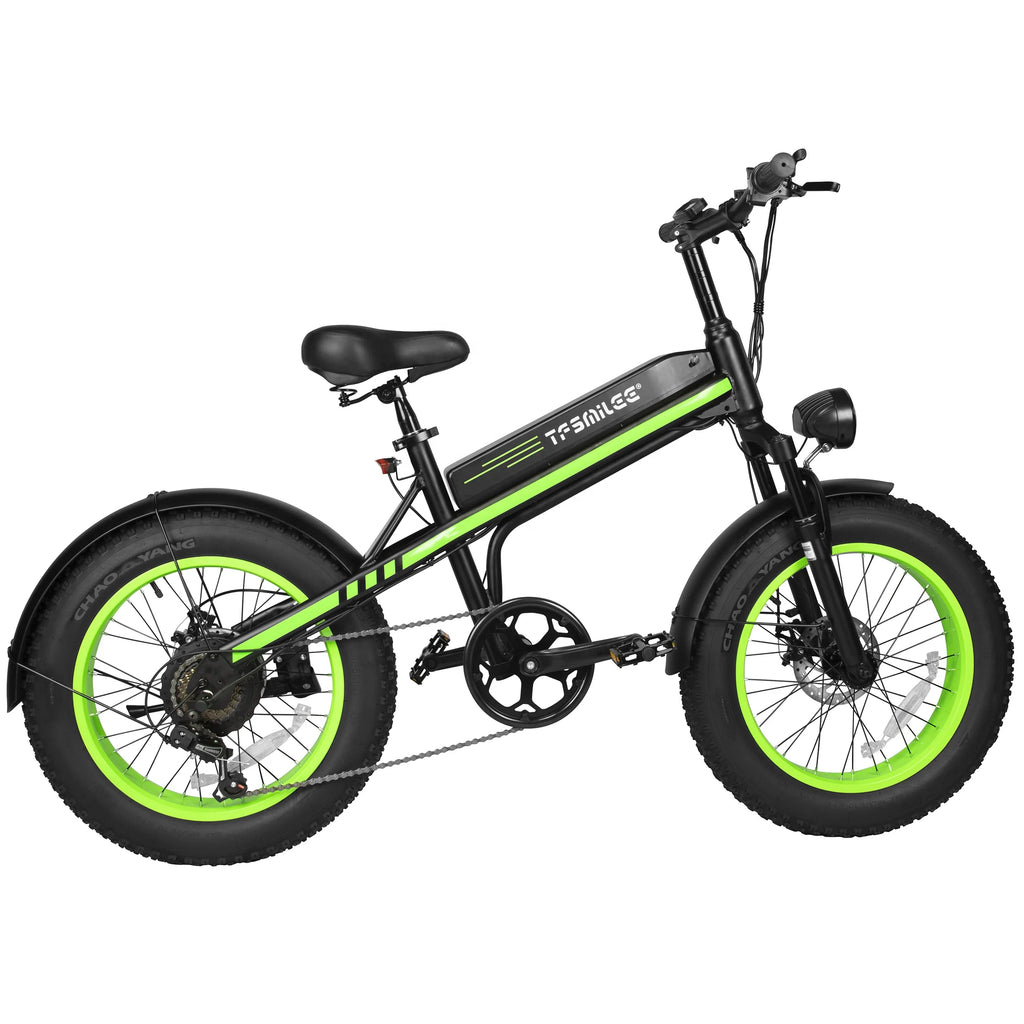 500W Fat Tire Electric Mountain & City Bike — 36V 10Ah 20" Removable Battery Adult E-Bike (USA Warehouse)