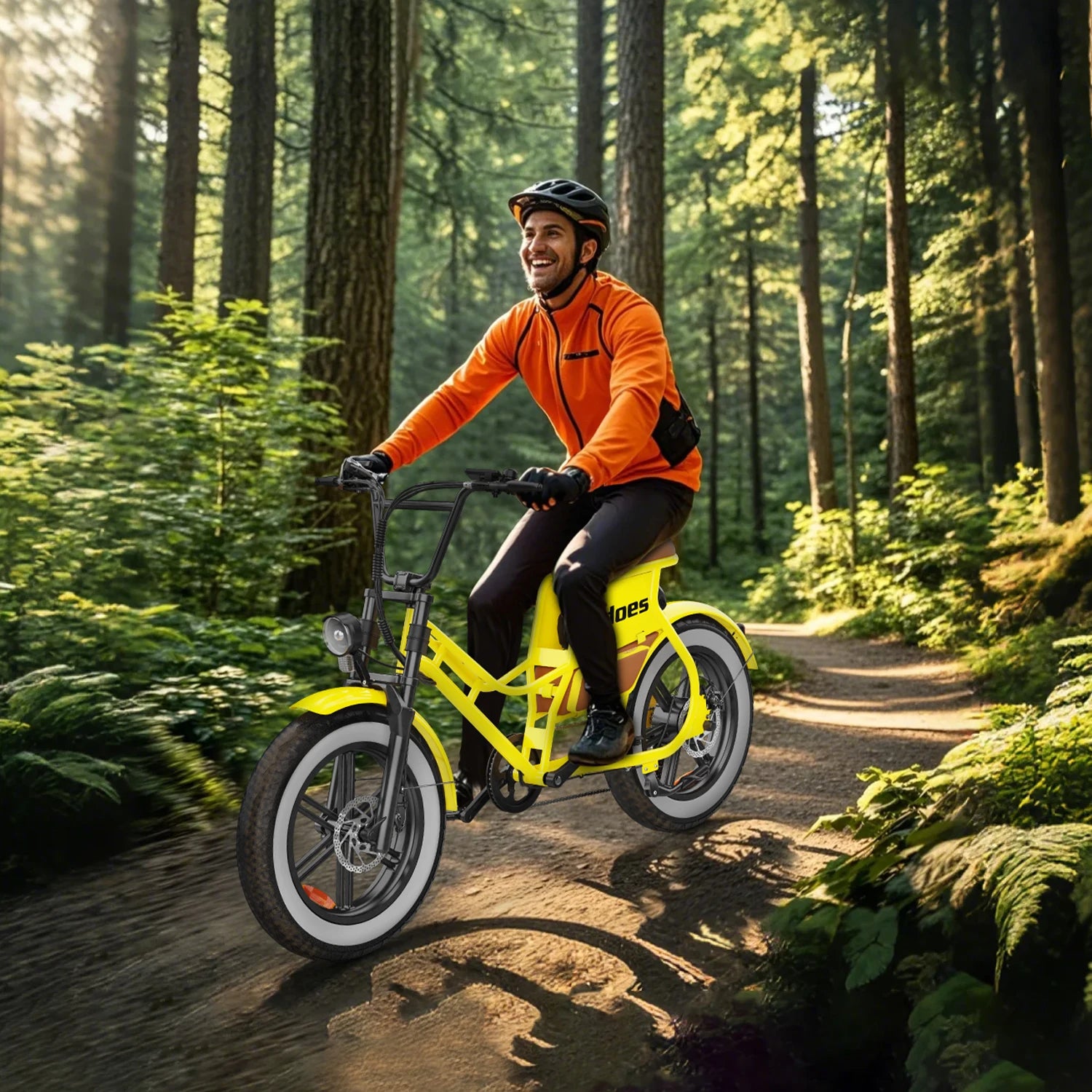 Women Step Thru Fat Tire 20inch Electric Bike Hidoes C8 700w 17ah Hybrid Electric Bicycle for Women