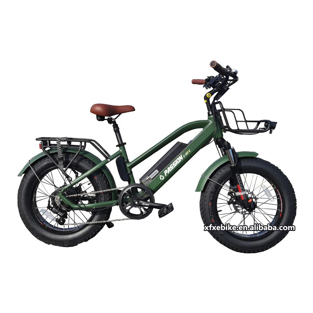 Beach Cruiser 20" Fat Tire 48V 12Ah Lithium Battery Aluminum Alloy Frame 7-Speed Suspension Fork LED Lights Step Electric Bike