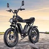 Ridstar Q20 Pro Dual Motor Fat Tire Electric Mountain Bike — 52V 40Ah High-Speed Off-Road E-Bike