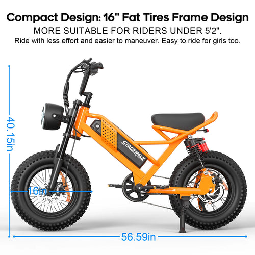 750W 16" Full Suspension Fat Tire Electric Mountain Bike — 48V Class 2 E-Bike (US Stock)