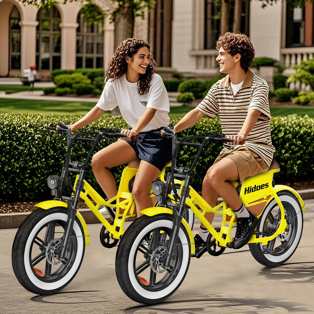 Women Step Thru Fat Tire 20inch Electric Bike Hidoes C8 700w 17ah Hybrid Electric Bicycle for Women