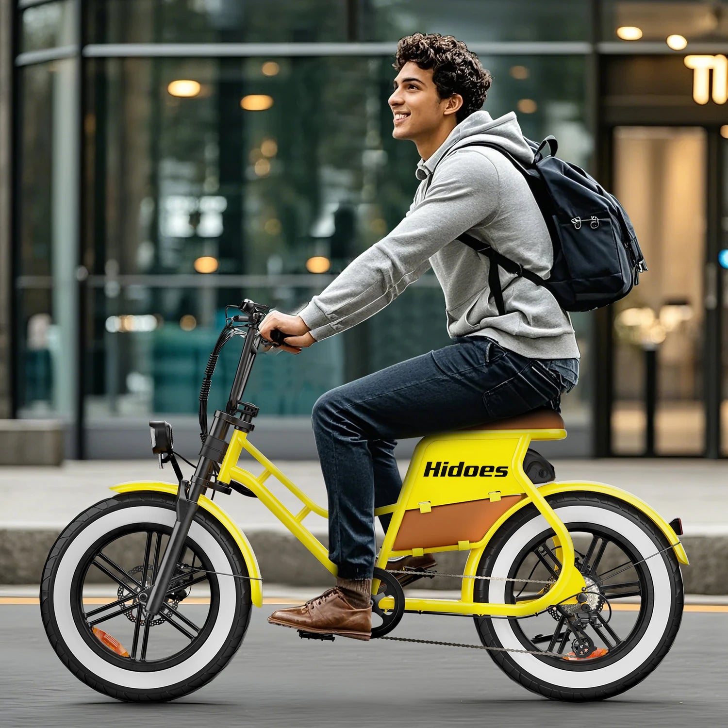 Women Step Thru Fat Tire 20inch Electric Bike Hidoes C8 700w 17ah Hybrid Electric Bicycle for Women