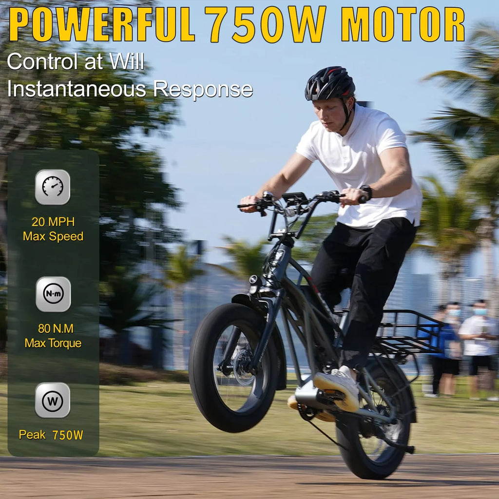 Fucare Gemini X 750W Dual Battery Electric Bike — 48V 30Ah, 100-120 Mile Range, 32MPH Adult E-Bike