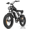 Ridstar Q20 Mini Adult Fat Tire E-Bike — 48V 15Ah 20" Electric Mountain Dirt Bike (US Free Shipping)