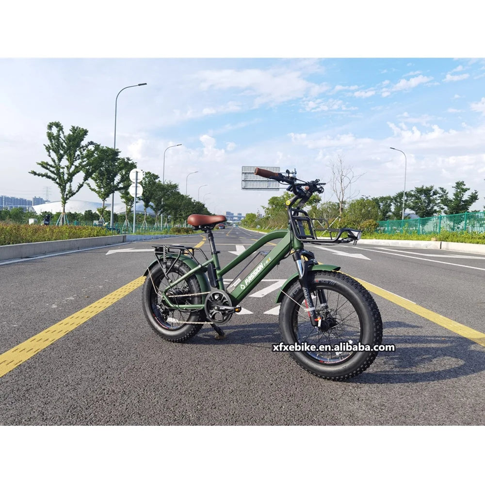Beach Cruiser 20" Fat Tire 48V 12Ah Lithium Battery Aluminum Alloy Frame 7-Speed Suspension Fork LED Lights Step Electric Bike