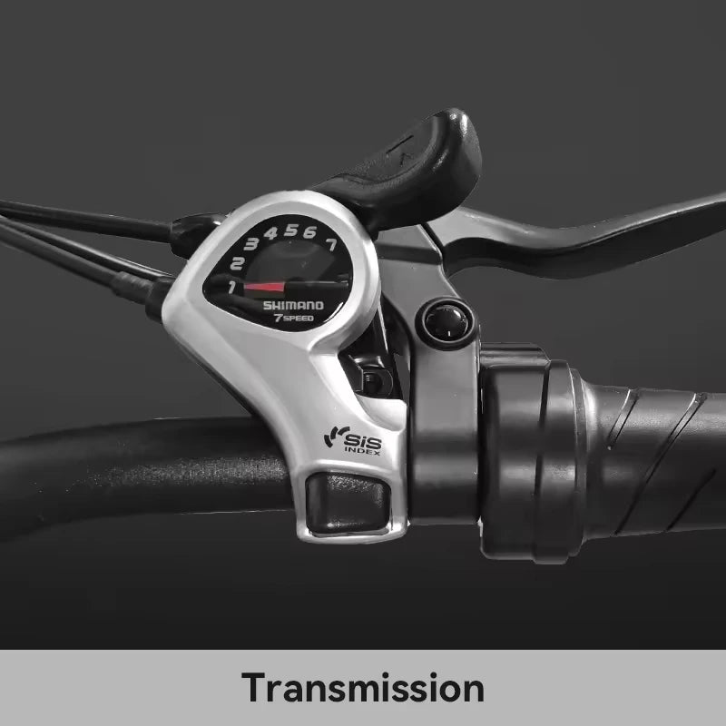QJ26 1000W 26" All-Terrain Adult Electric Mountain Bike — 48V Fat Tire Off-Road Dirt E-Bike, 45-55km Range