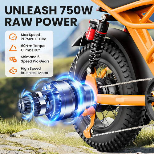 750W 16" Full Suspension Fat Tire Electric Mountain Bike for Kids — 48V 6-Speed (US Stock)