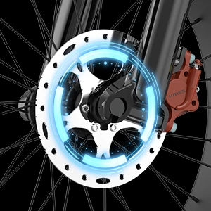Ridstar Q20 Fat Tire Electric Moped Bike — 48V 20Ah 20" Compact Upright E-Bike