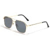 HBK Unisex Retro Double-Bridge Sunglasses | Vintage Reflective Lens UV400 Luxury Metal Frame