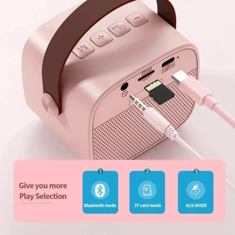 Wireless Dual Microphone Karaoke Machine — Bluetooth HIFI Speaker