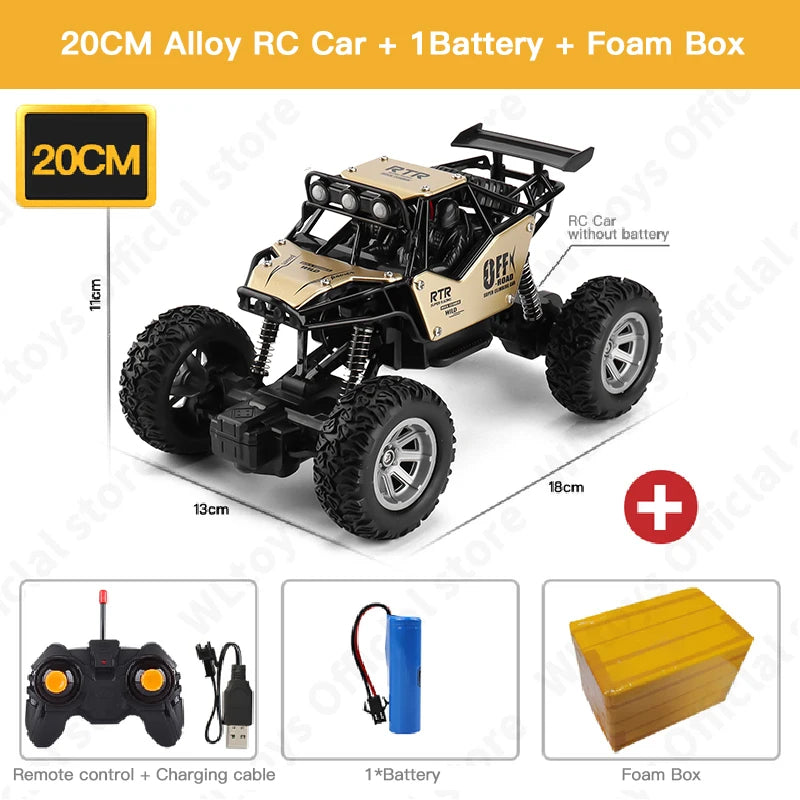 ZWN 1:16 / 1:20 Scale 2WD RC Off-Road Climbing Car with LED Light – Outdoor Kids Gift