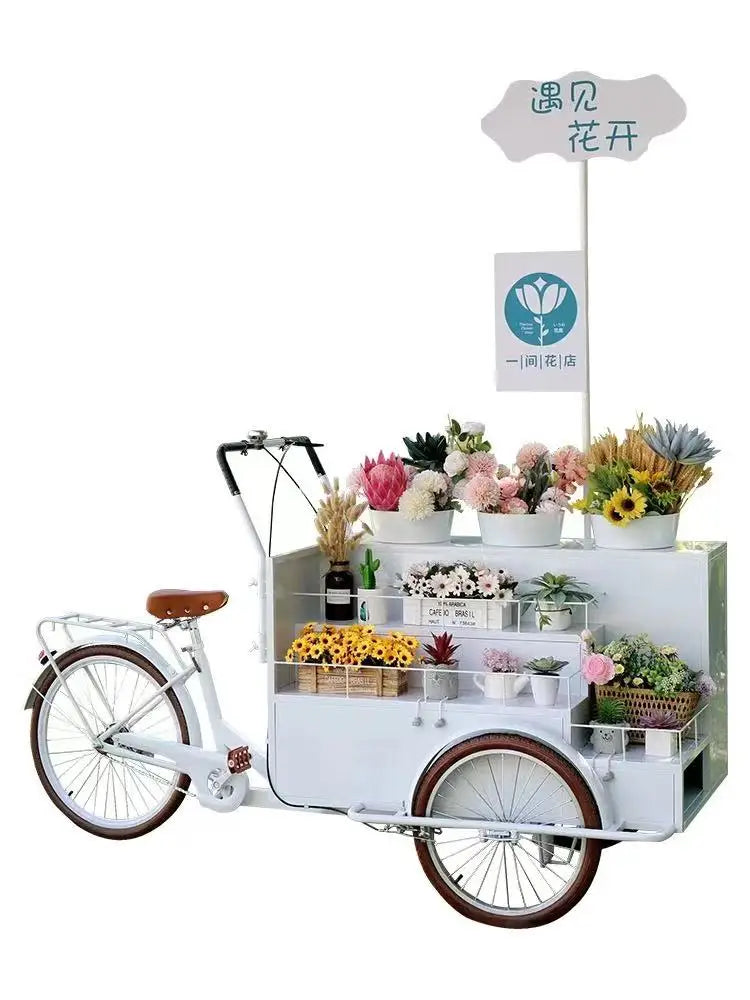 Custom Commercial Ice Cooler Cart Tricycle – Stainless Steel Freezer Bicycle for Snacks & Candy