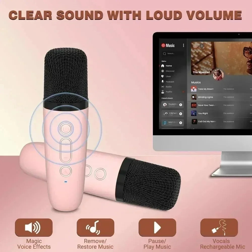 Wireless Dual Microphone Karaoke Machine — Bluetooth HIFI Speaker