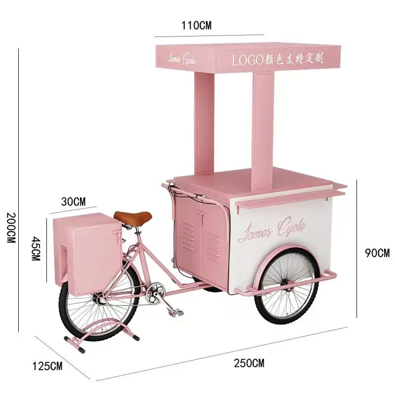 Custom Commercial Ice Cooler Cart Tricycle – Stainless Steel Freezer Bicycle for Snacks & Candy
