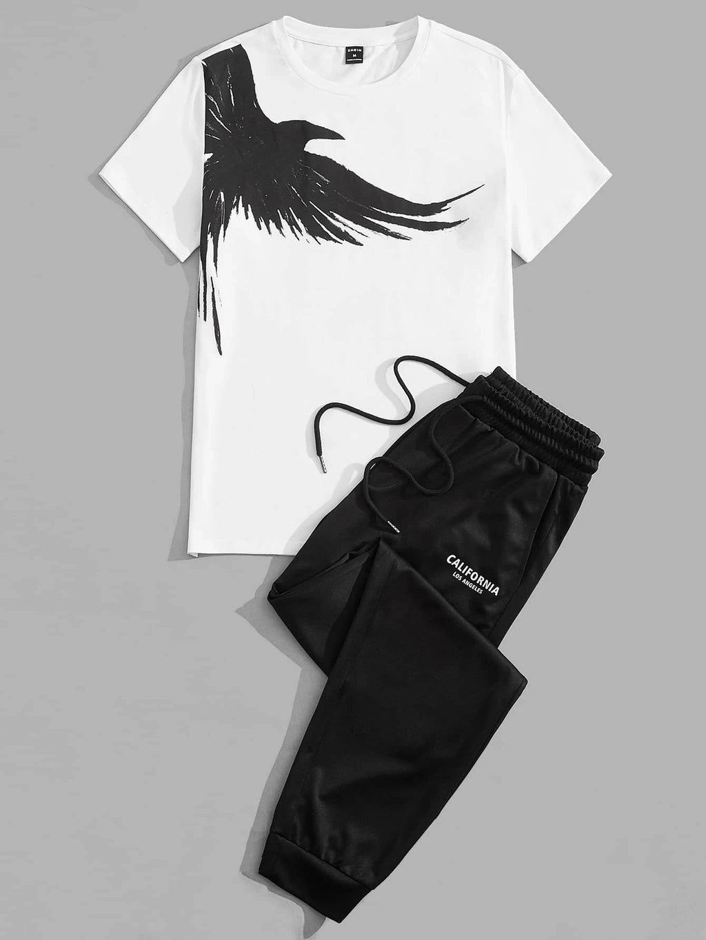Men's Eagle Print T-Shirt & Shorts Sport Set – Casual 2-Piece Leisure Outfit
