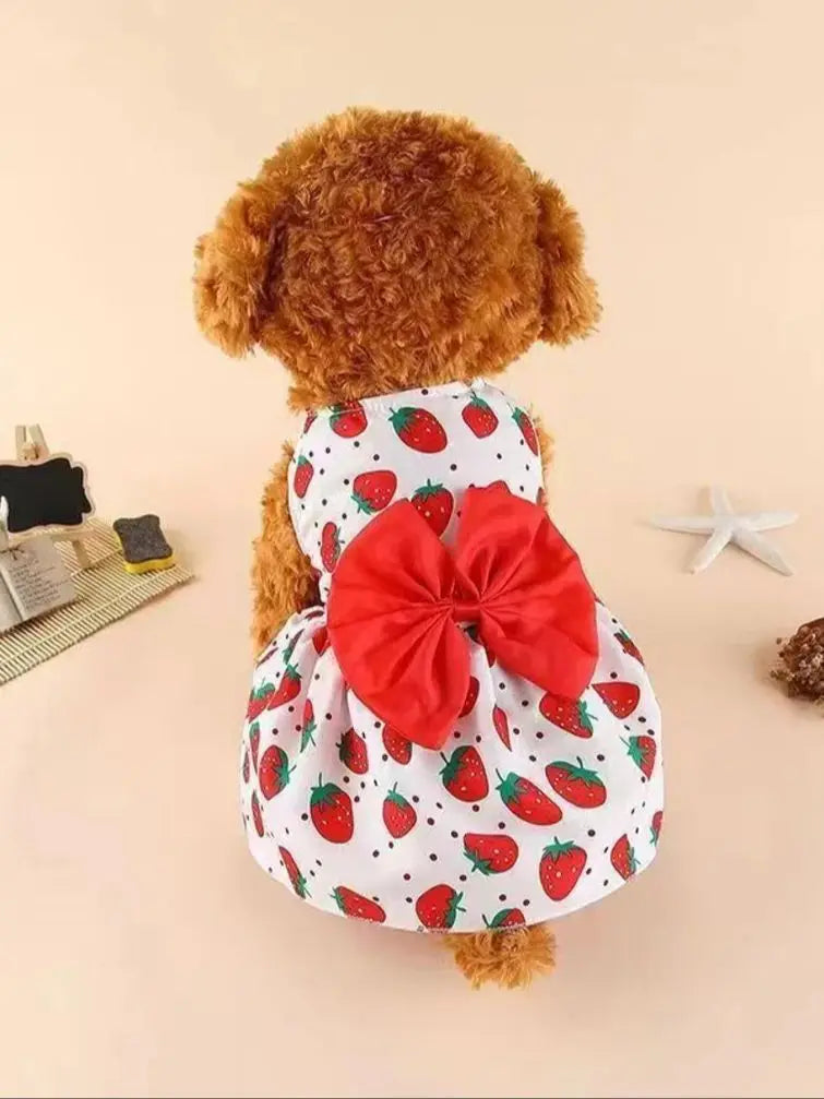 Dog Princess Dress Summer Kitten Pet Skirt Cute Printed Bow Lace Dog Dresses for Small Medium Puppies Poodle Chihuahua Apparel