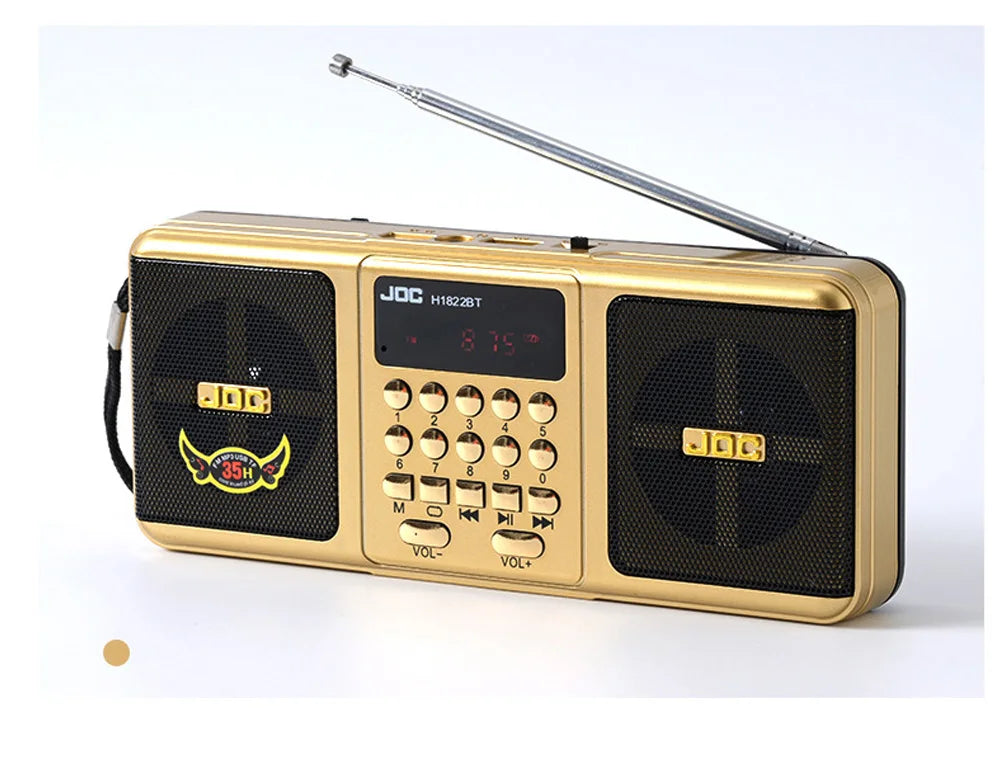 Portable Rechargeable FM Radio — Compact Digital Tuner with Built-In Speaker