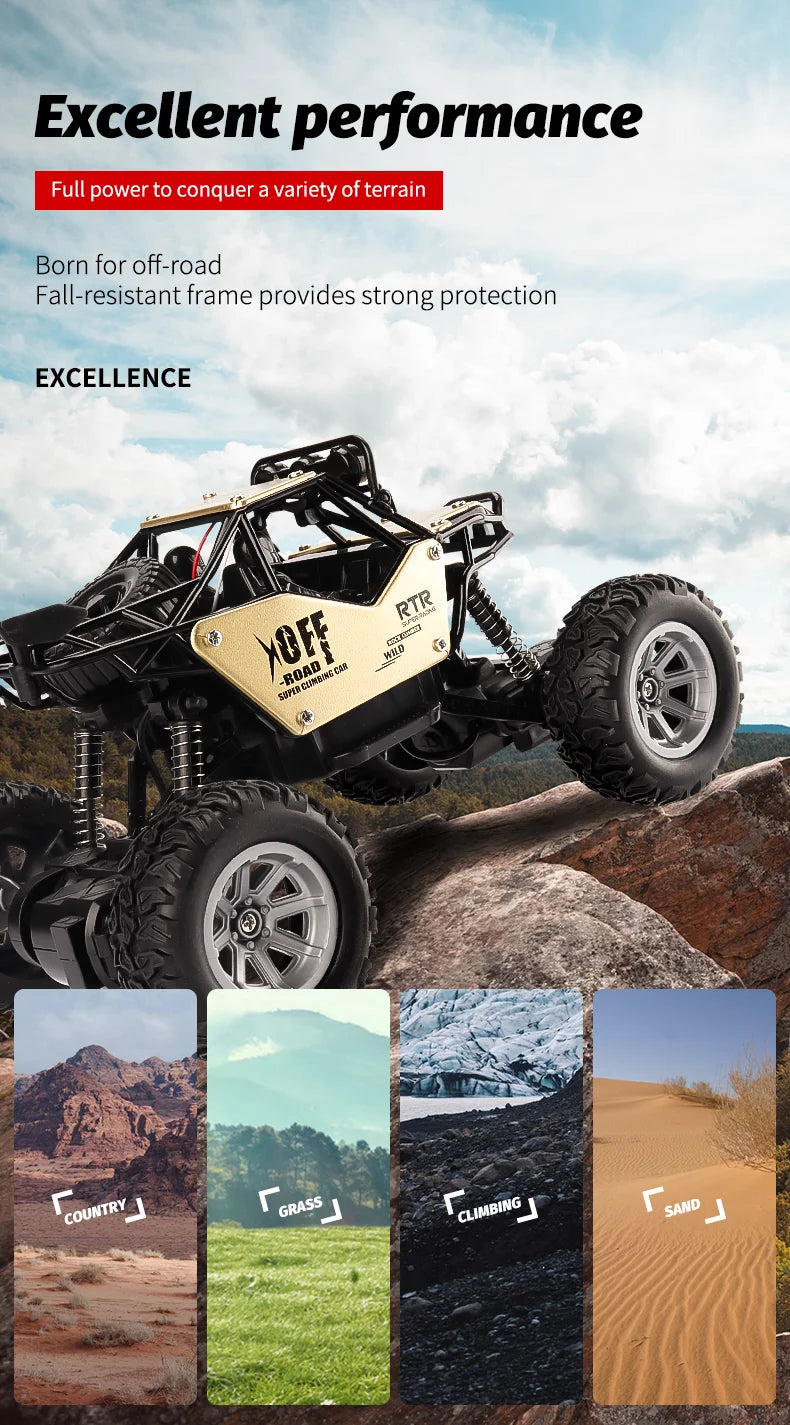 ZWN 1:16 / 1:20 Scale 2WD RC Off-Road Climbing Car with LED Light – Outdoor Kids Gift