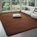 VIKAMA Solid Color Coral Velvet Rug – Soft Non-Slip Kids Play Mat & Bedroom Carpet