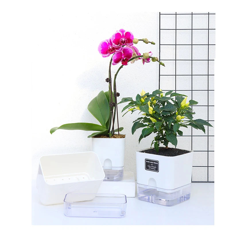 Double-Deck Self-Watering Planter Pot — Magnetic Plastic with Cotton Wick for Indoor & Garden Use