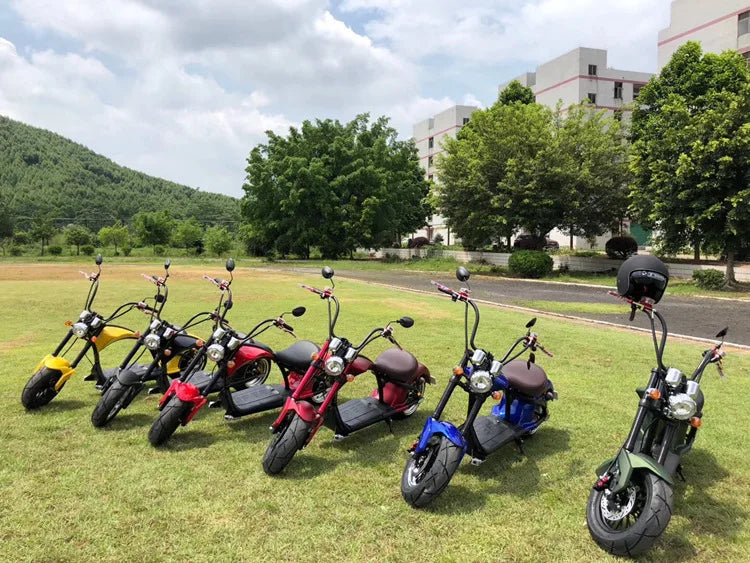 4000W Fat-Tire Electric Motorcycle – 75 km/h