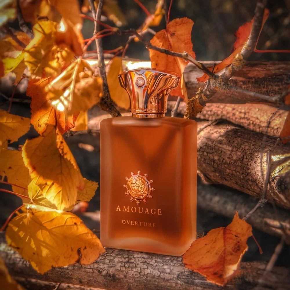 Men's Oriental Woody EDP 100ml – 10 Signature Scents