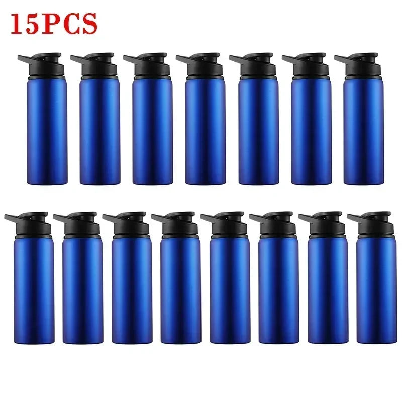 Stainless Steel Bicycle Water Bottle – Portable Outdoor Sports & Travel Kettle, BPA-Free, 700ml