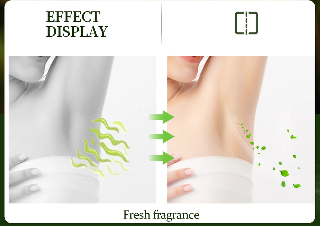 72H Deodorant Stick – Forest Scent Unisex Body Care 76g