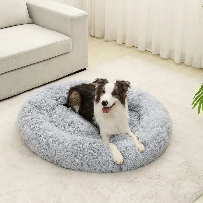 Soft Long Plush Dog Bed – Warm Basket Cushion for Small & Medium Dogs and Cats