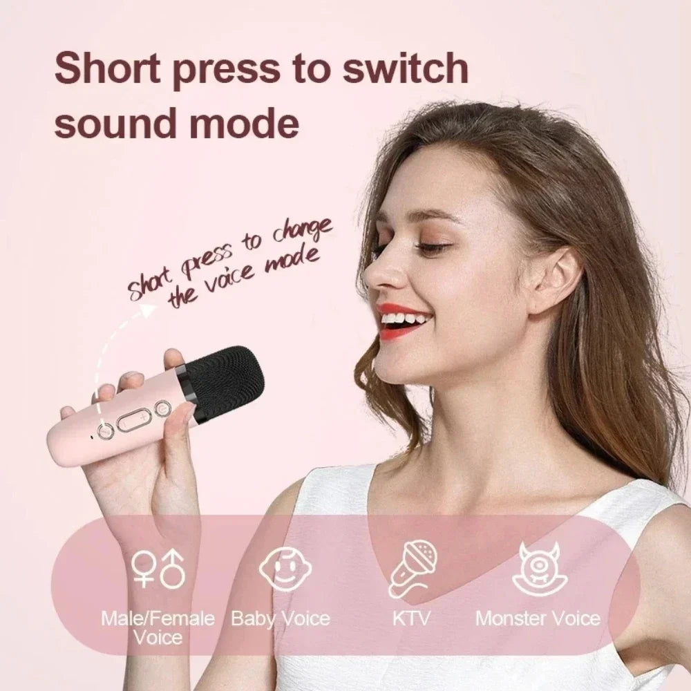 Wireless Dual Microphone Karaoke Machine — Bluetooth HIFI Speaker