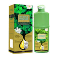 Natural Plant Herbal Hair Dye Shampoo 5 Minutes Change Hair Color Non-irritating Repairs Gray White Hair Care Products Women Men