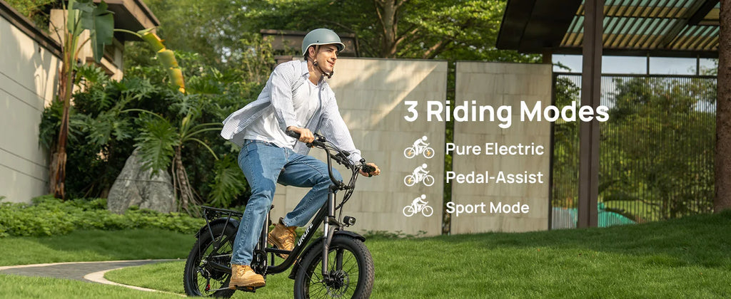 URLIFE E20 1000W Fat Tire Electric Bike — 48V 13Ah, 28MPH, 80-Mile Range, 7-Speed, Dual Disc Brake