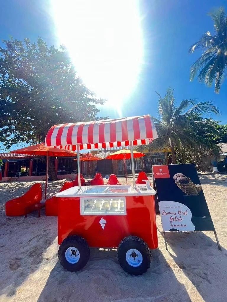 Customized Mobile Food Vending Cart with Canopy – Commercial Street Stall for Ice Cream & Snacks