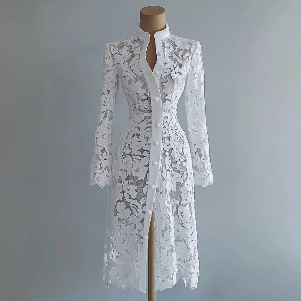 Lace See-Through Ankle-Length Dress — Stand Collar Long Sleeve Elegant Retro Coat Dress