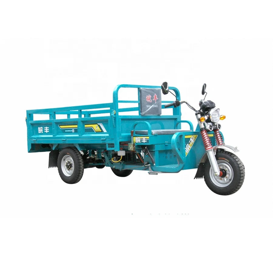 Electric Cargo Tricycle 3000W — Motorized 3-Wheel Adult Bike, EEC/DOT Certified