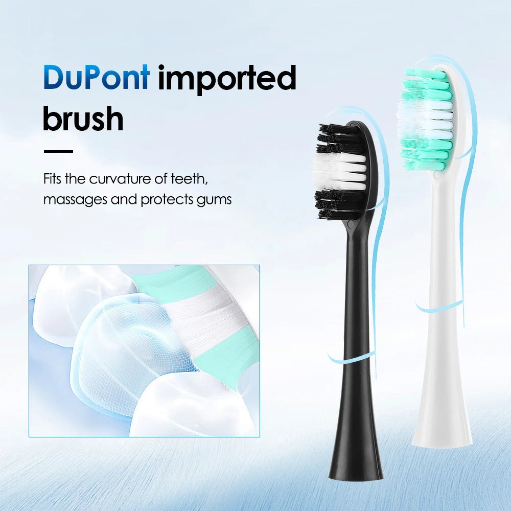 Dentist-Level Clean at Home — Electric Teeth Cleaner & Tartar Remover | 6-Gear Modes, 31,000 Vibrations/Min, IPX6 Waterproof, Type-C Charging