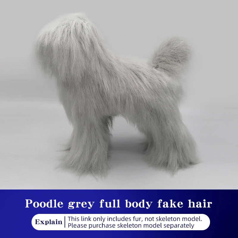 Full-Body Poodle Grooming Practice Model
