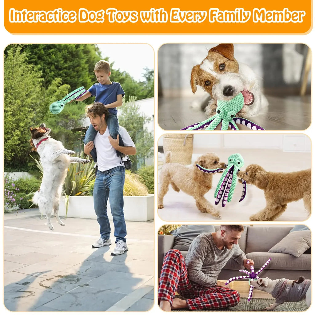 Octopus Shell Squeaky Chew Toy for Dogs & Cats