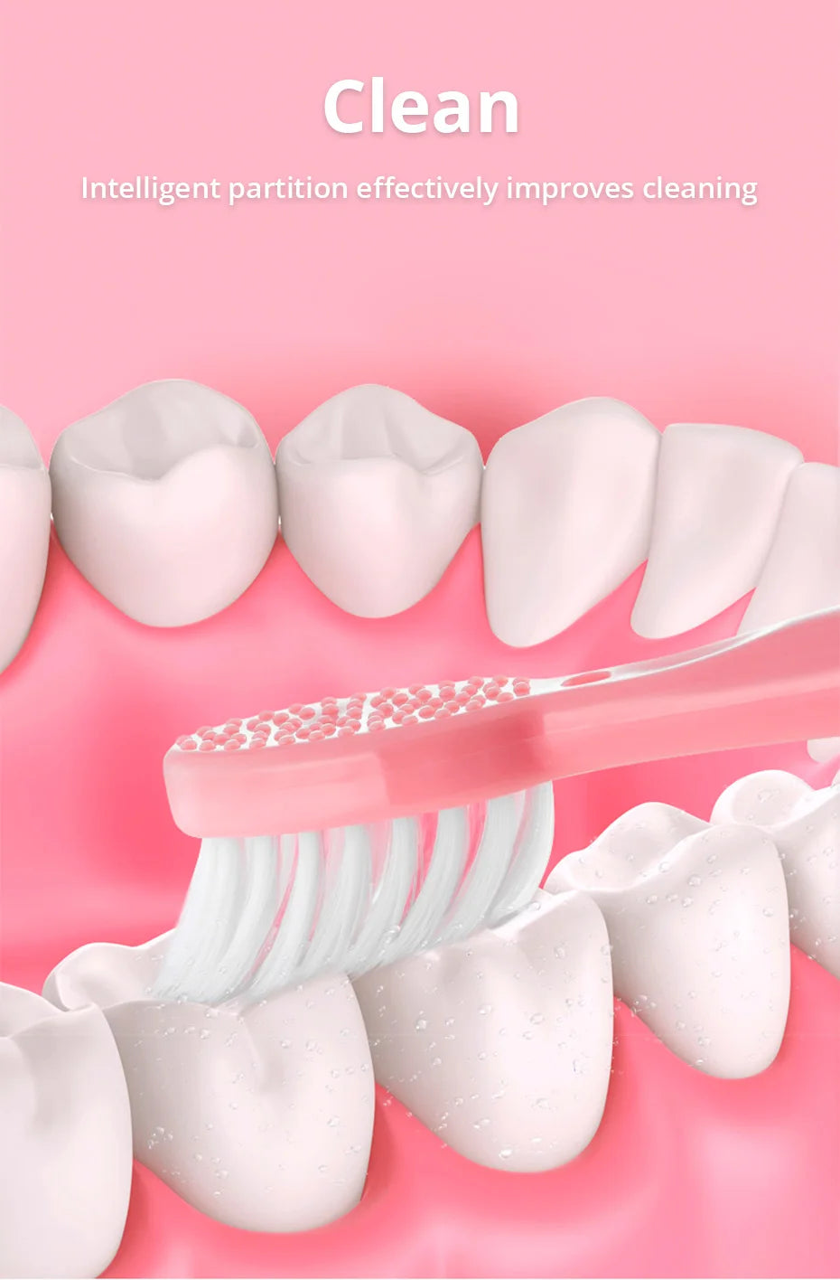 Tongwode Sonic Electric Toothbrush for Adults – Soft Bristle, IPX6 Waterproof, 3 Brush Heads