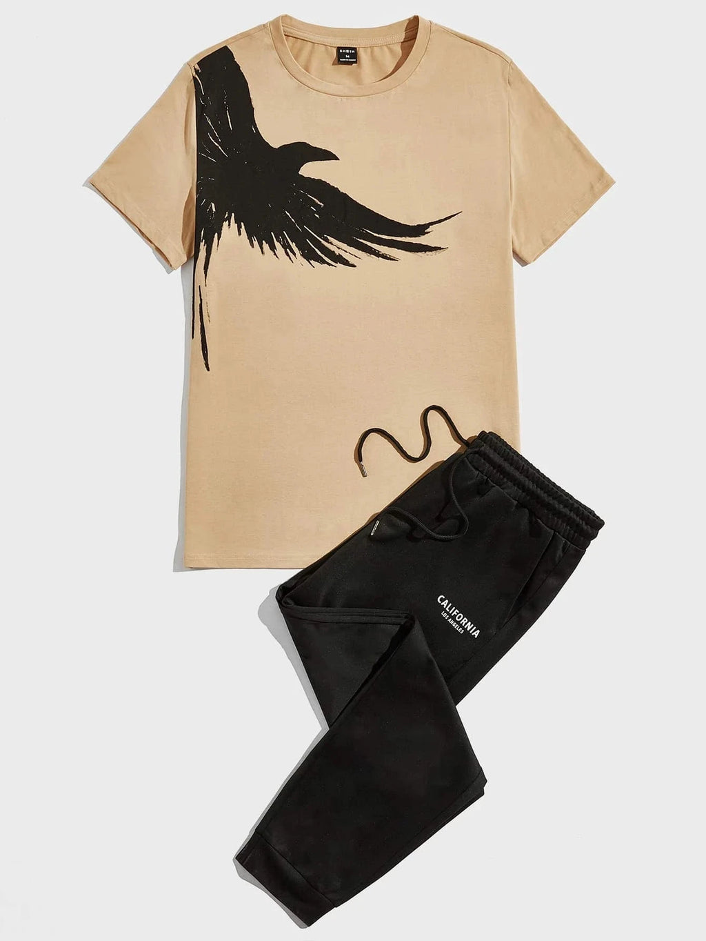 Men's Eagle Print T-Shirt & Shorts Sport Set – Casual 2-Piece Leisure Outfit