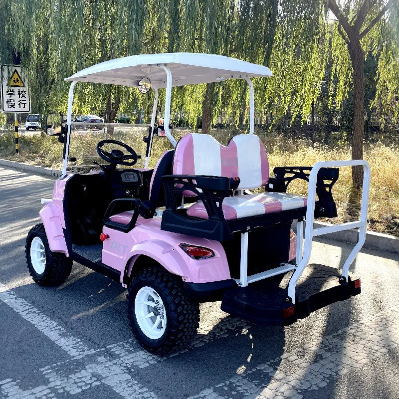 2026 Electric Golf & Off-Road Cart — 60V, 2+2 Seats, CE & DOT Certified Hunting Vehicle