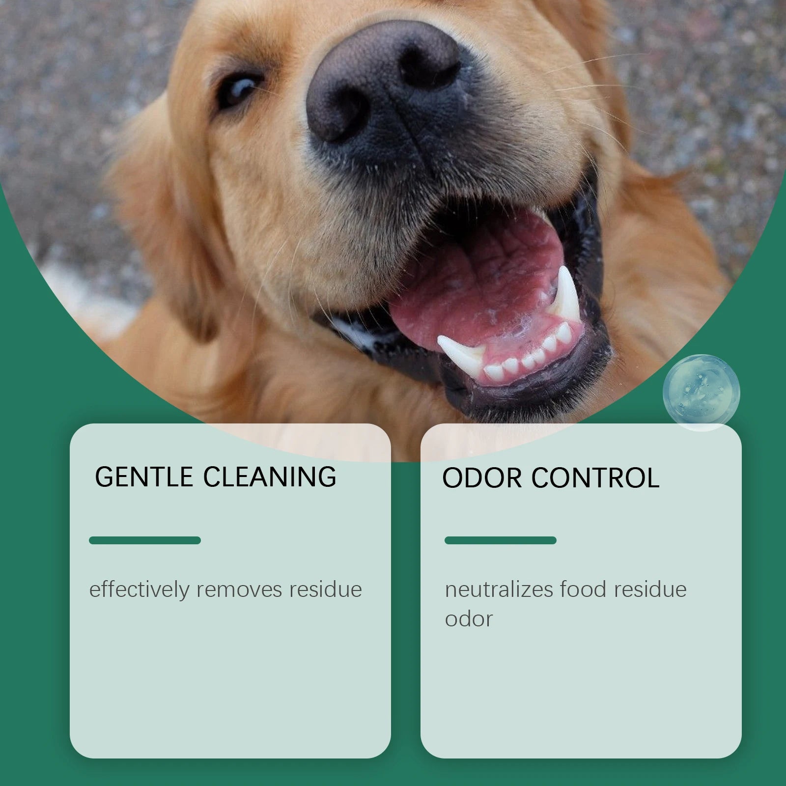 Fresher Breath. Healthier Gums. — Pet Teeth Cleaning Powder for Dogs | 100g, Reduces Tartar & Plaque, Freshens Breath, Gum Protection