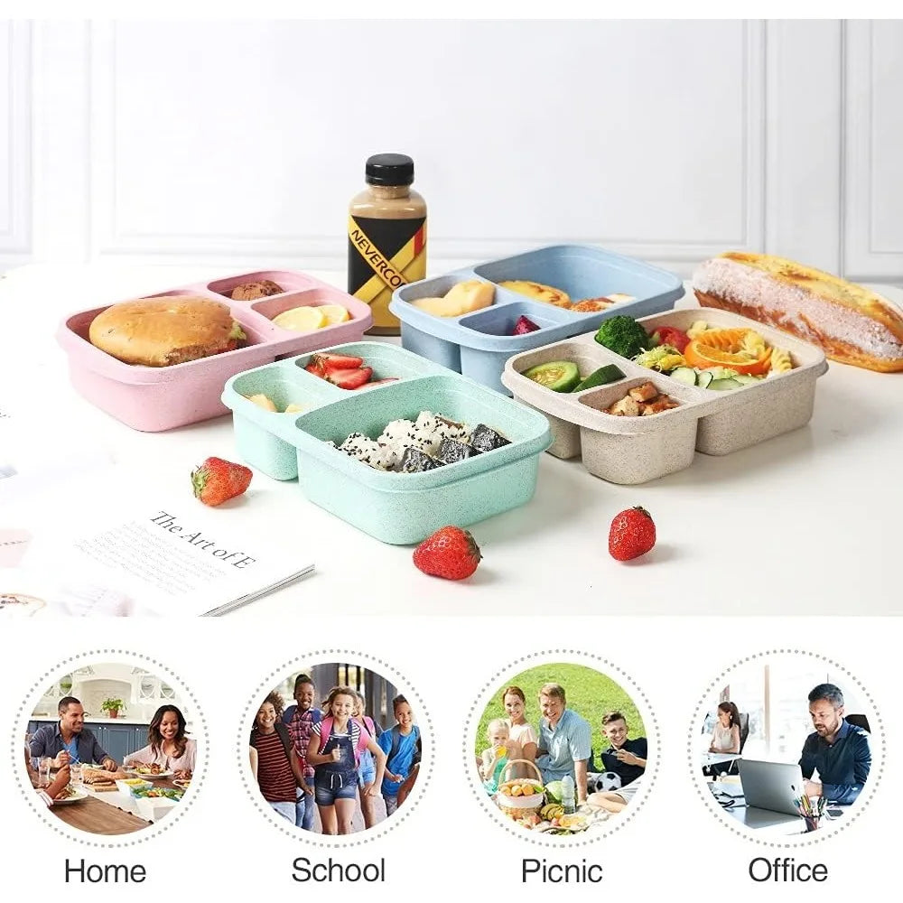 3-Compartment Bento Lunch Box — Kids & Adults