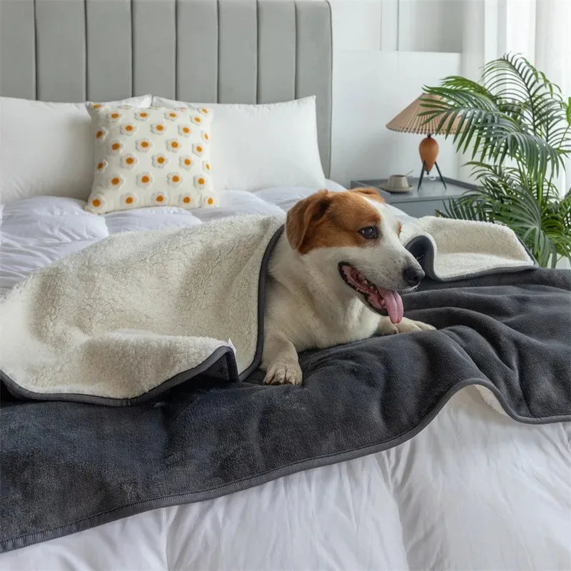 Waterproof Dog & Cat Blanket – Premium Puppy Blanket, Waterproof Pet Throw, Multiple Sizes