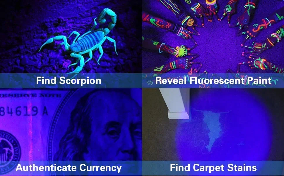 UV Blacklight Flashlight | 9/12 LED 395nm, Pet Urine & Stain Detector, Waterproof Aluminum, Batteries Not Included