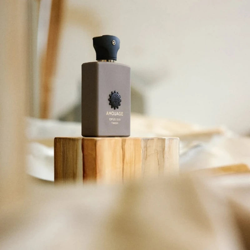 Men's Woody Luxury EDP 100ml – 10 Signature Scents