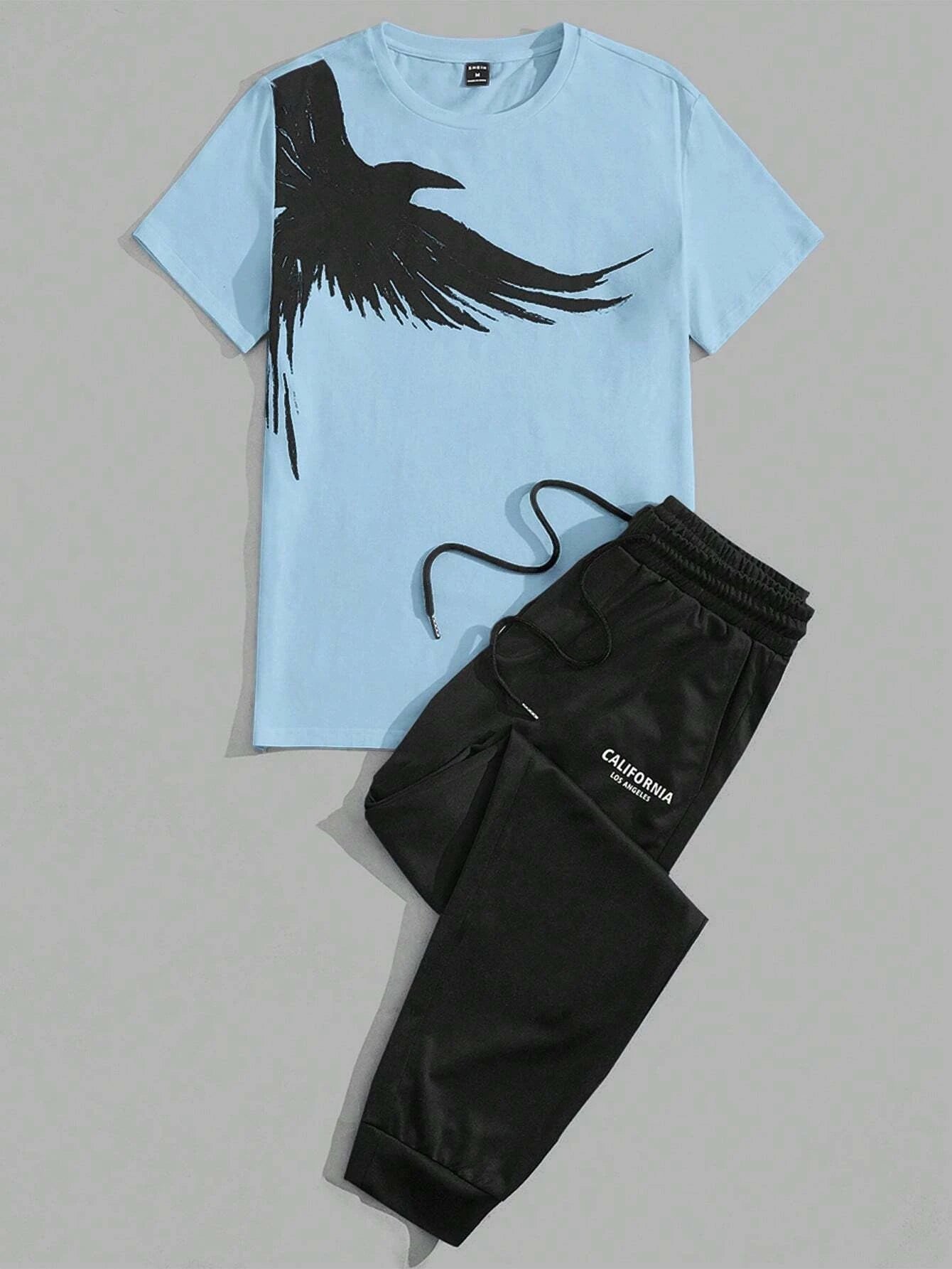 Men's Eagle Print T-Shirt & Shorts Sport Set – Casual 2-Piece Leisure Outfit