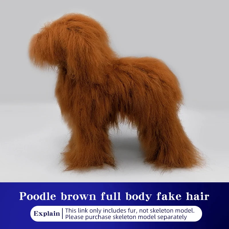 Full-Body Poodle Grooming Practice Model
