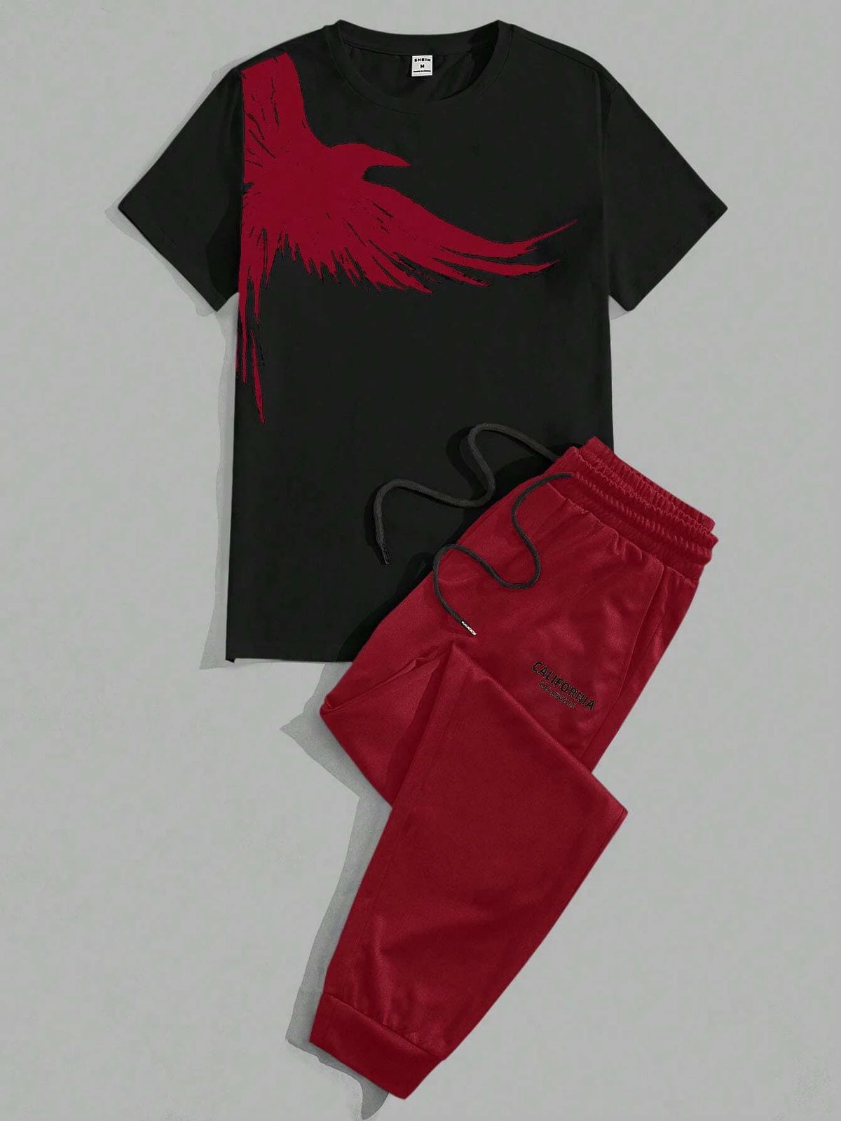 Men's Eagle Print T-Shirt & Shorts Sport Set – Casual 2-Piece Leisure Outfit